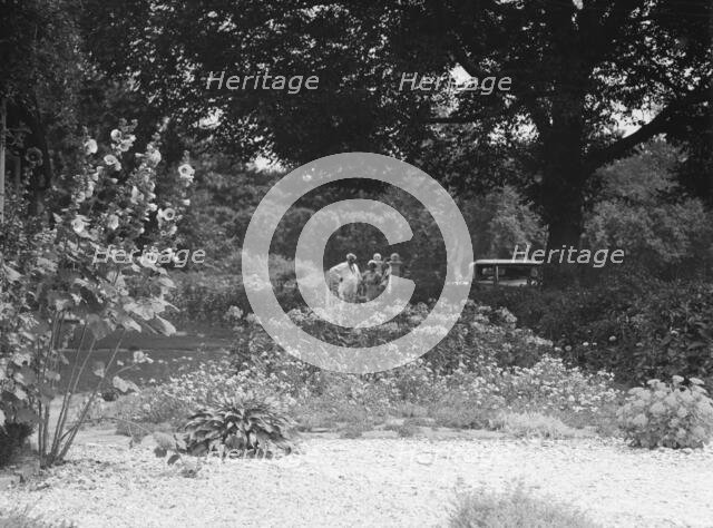 Breese, James, Mr., garden, 1933 Creator: Arnold Genthe.