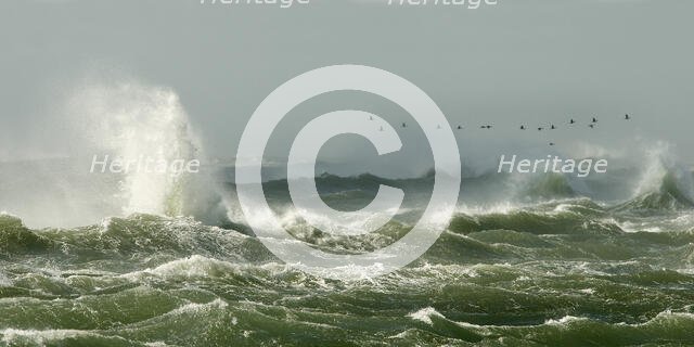 Crossing The Bar. Creator: Eve Turek.