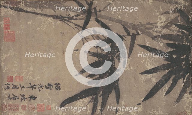 Bamboo. Creator: Unknown.