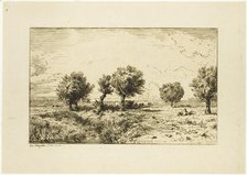 Willows in a Landscape, 1844. Creator: Charles Emile Jacque.