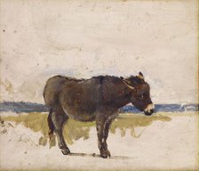 Study of a Donkey, 1841-1843. Creator: David Cox the elder.