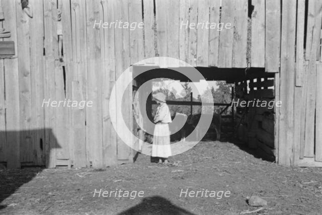 Dora Mae Tengle, sharecropper's daughter, Hale County, Alabama, 1936. Creator: Walker Evans.
