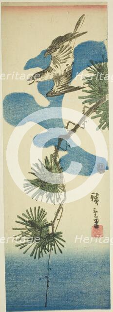 Cuckoo, Pine Branch, and Full Moon, c. 1843/47. Creator: Ando Hiroshige.