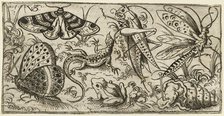 Group of insects and animals on a plain ground with grass..., 1530 - 1562.  Creator: Virgil Solis.