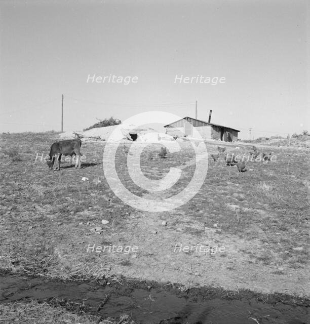 Abode basement dugout house on Roberts' farm, Willow Creek area, Oregon, 1939. Creator: Dorothea Lange.