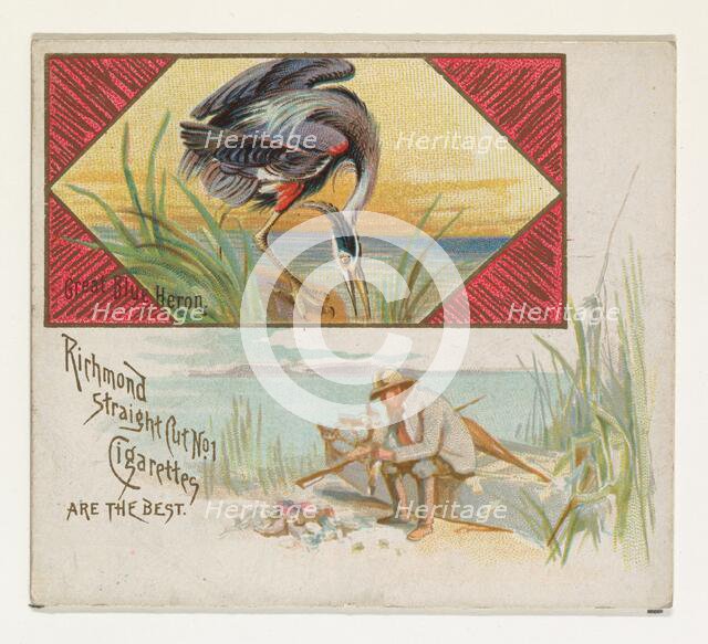 Great Blue Heron, from the Game Birds series (N40) for Allen & Ginter Cigarettes, 1888-90. Creator: Allen & Ginter.