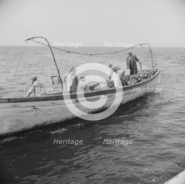 Possibly: On board the fishing boat Alden, out of Gloucester, Massachusetts, 1943. Creator: Gordon Parks.