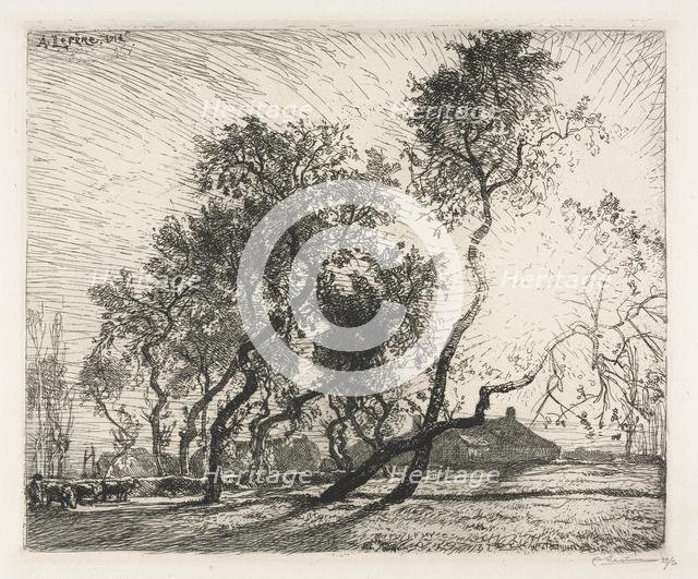 Farm with Poplar Trees of Holland , 1914. Creator: Auguste Louis Lepère (French, 1849-1918).