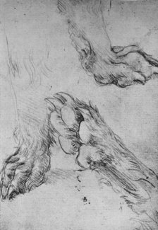 'Three Studies of the Paws of a Dog or Wolf', c1480 (1945). Artist: Leonardo da Vinci.