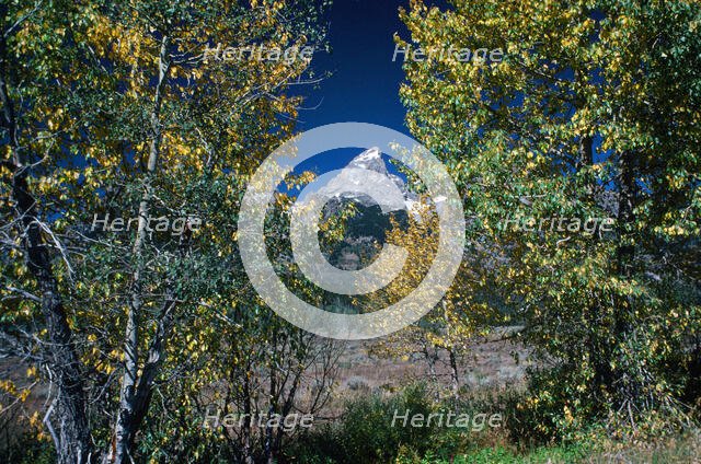 The Peak. Creator: Robert Manno.