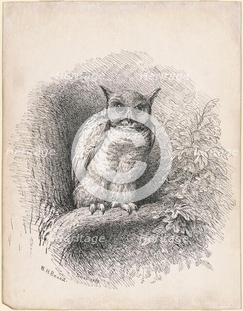 Owl, 1889. Creator: William Holbrook Beard.