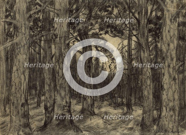 Deep in the Woods of the Krasnoyarsk Taiga, 1904. Creator: Boris Vasilievich Smirnov.