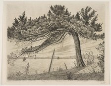 Pelham Bay, ca. 1875. Creator: Henry Farrer.