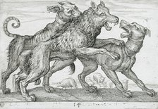 Three Dogs Fighting, 1610. Creator: Hendrick Hondius I.