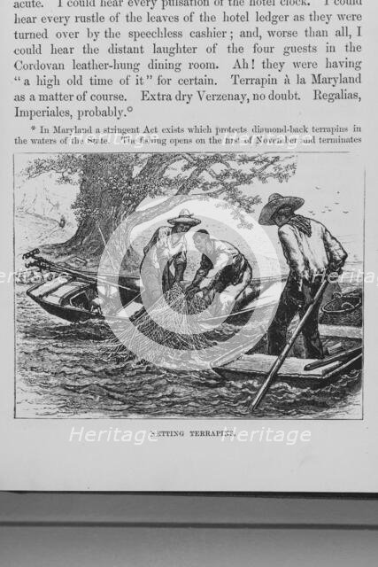 Netting terrapins, 1882. Creator: Unknown.