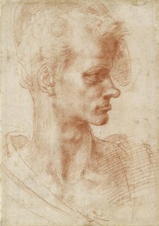 Study of a Man's Head, 1501-1505.  Creator: Michelangelo Buonarroti.