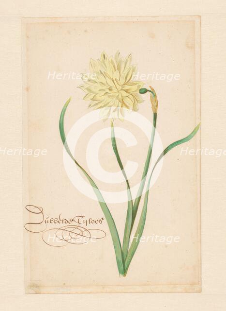 Double, 1650-1699. Creator: Anon.