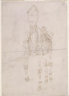 Measured working drawing for 'The Second Anatomical Table of the Skeleton of the Horse', 1756. Creator: George Stubbs.