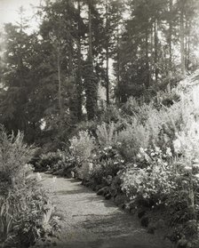 "High Hatch," Thomas Kerr garden, SW Military Lane, Portland, Oregon, 1923. Creator: Frances Benjamin Johnston.