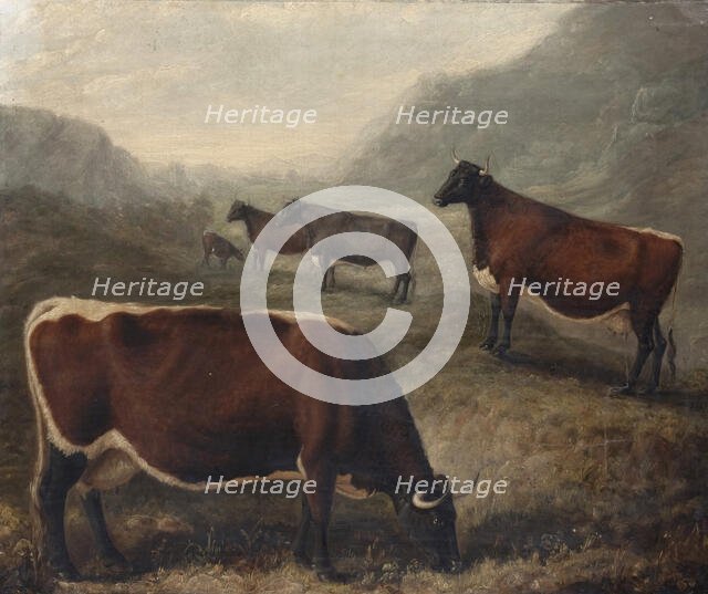 Five Glamorgan Cattle, 1835. Creator: William Shiels.
