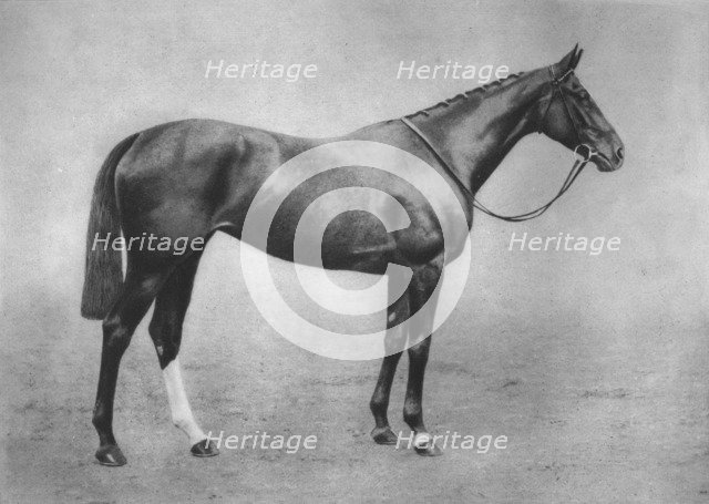 'Americus Girl', 1911. Artist: Unknown.