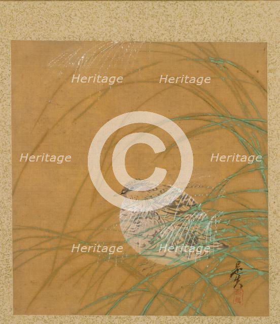 Leaf from Album of Seasonal Themes: Shoreline with Birds, 1847. Creator: Shibata Zeshin (Japanese, 1807-1891).