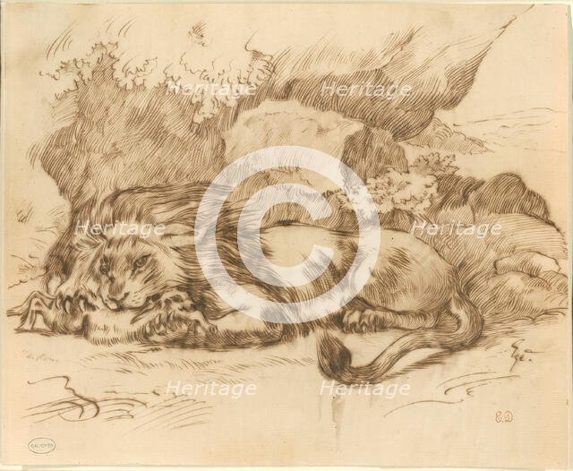 Lion Devouring a Rabbit, n.d. Creator: Eugene Delacroix.