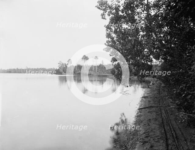 White Bass Lake near Gordon's, Wis., c1898. Creator: Unknown.