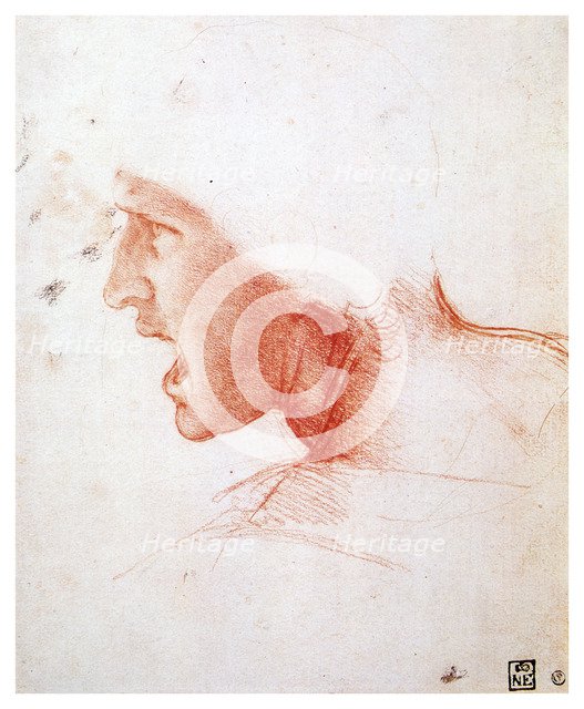 'Head of a man shouting in profile to the left', 1503-1504. Artist: Leonardo da Vinci