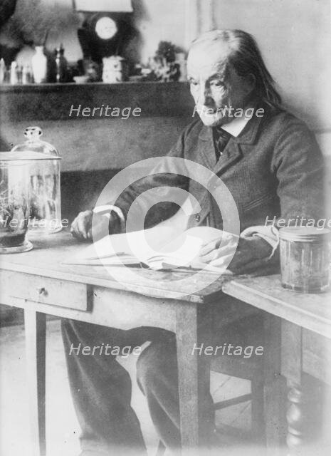 Jean Henri Fabre, between c1910 and c1915. Creator: Bain News Service.