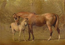 'Thoroughbred Mare & Foal', c1879. Creator: Unknown.