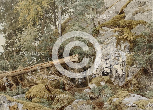 A mossy rock in the forest, 1857. Creator: Werner Holmberg.