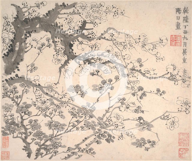 Plum Blossoms, dated 1757. Creator: Jin Nong.
