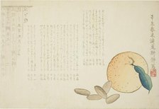 Tangerine and Chinese Legend, Japan, spring 1871. Creator: Kosei.
