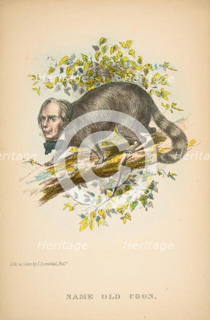 Same Old Coon (Henry Clay), from The Comic Natural History of the Human Race, 1851. Creators: Henry Louis Stephens, L. Rosenthal.