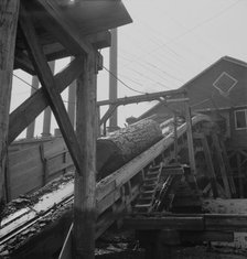 Log chute at Pelican Bay Lumber Company mill, Near Klamath Falls, Oregon, 1939. Creator: Dorothea Lange.
