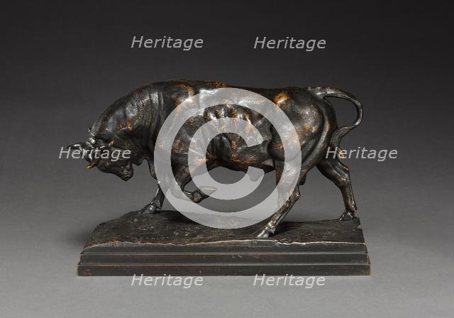 Bull, c. 1841. Creator: Antoine-Louis Barye (French, 1796-1875).
