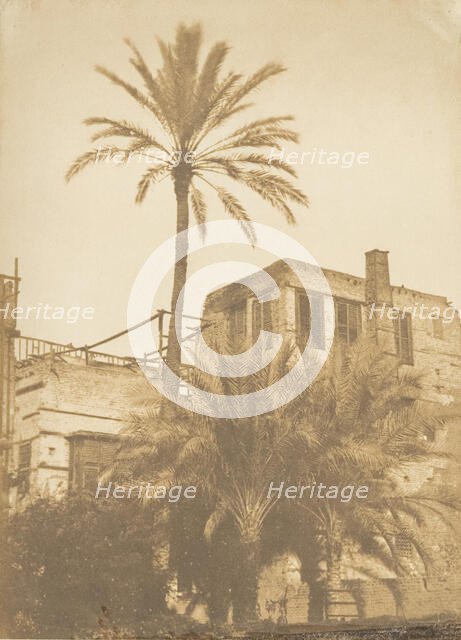 Dattiers et Maison du quartier Franc, au Kaire, December 1849-January 1850. Creator: Maxime du Camp.