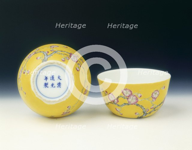 Pair of yellow ground famille rose cups, Late Qing dynasty, 19th-early 20th century. Artist: Unknown