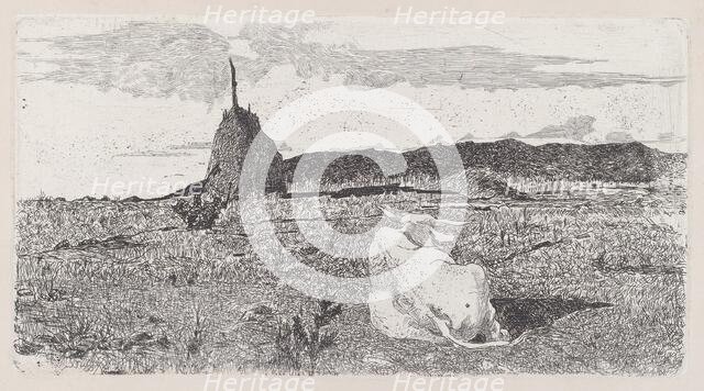 Holy Cow [Pio bove], 1888/1890. Creator: Giovanni Fattori.