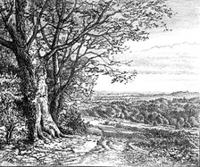 Autumn from Bramble Hill: from "Autumnal Leaves" (Sketches in the New Forest), 1881. Creator: James Davis Cooper.