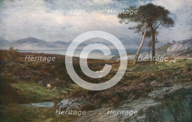 'Heather: Scottish Highlands', c1910, (c1930).  Creator: John MacWhirter.