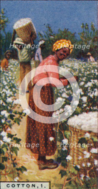 'Cotton, 1. - Picking Seed Cotton, W. Indies', 1928. Artist: Unknown.