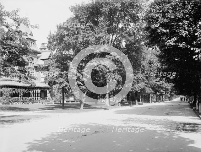 Delaware Ave., Buffalo, N.Y., c1900. Creator: Unknown.