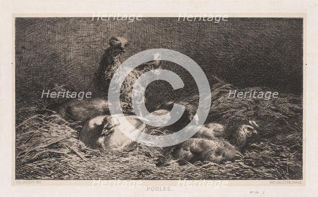 Chickens (Poutes), 1867. Creator: Charles-Émile Jacque (French, 1813-1894).