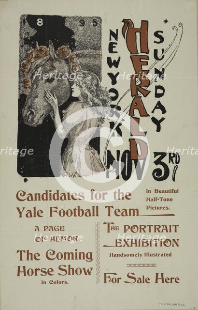 New York Sunday herald. Nov 3rd., c1895. Creator: Charles Hubbard Wright.