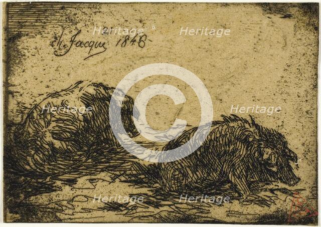 Two Pigs Lying Down, 1846. Creator: Charles Emile Jacque.