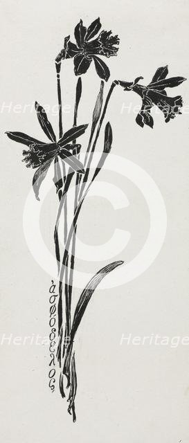 Daffodils. Creator: Harry Fenn (American, 1838/45-1911).