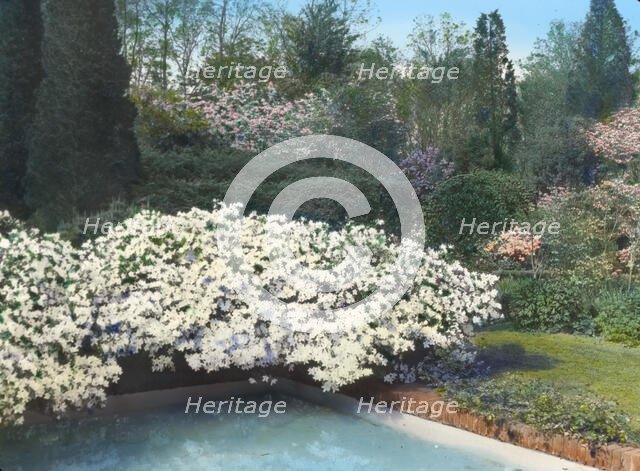 "Old Acres," Robert Low Bacon house, Old Westbury, New York, 1921. Creator: Frances Benjamin Johnston.