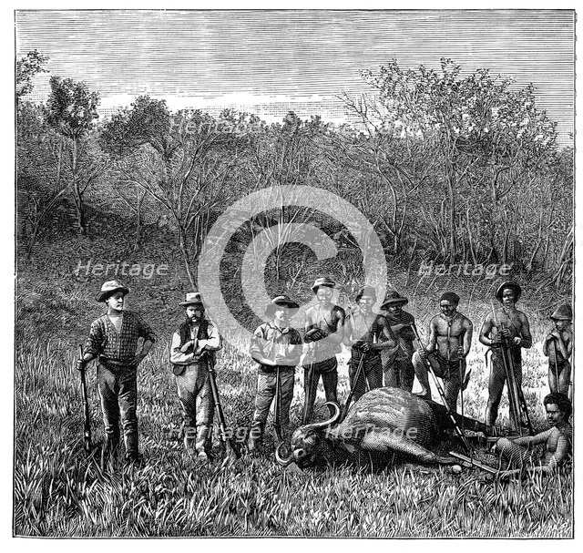 Buffalo hunters in the Transvaal, South Africa, c1890. Artist: Unknown